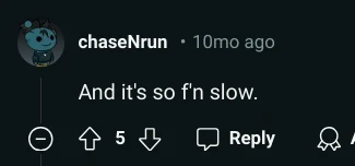 A Reddit user responding to product-level concerns with: <br><em>'And it's so f'n slow.'</em>